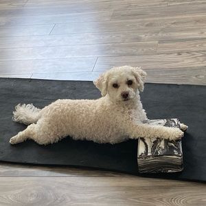 Meet your Posher, Alyson